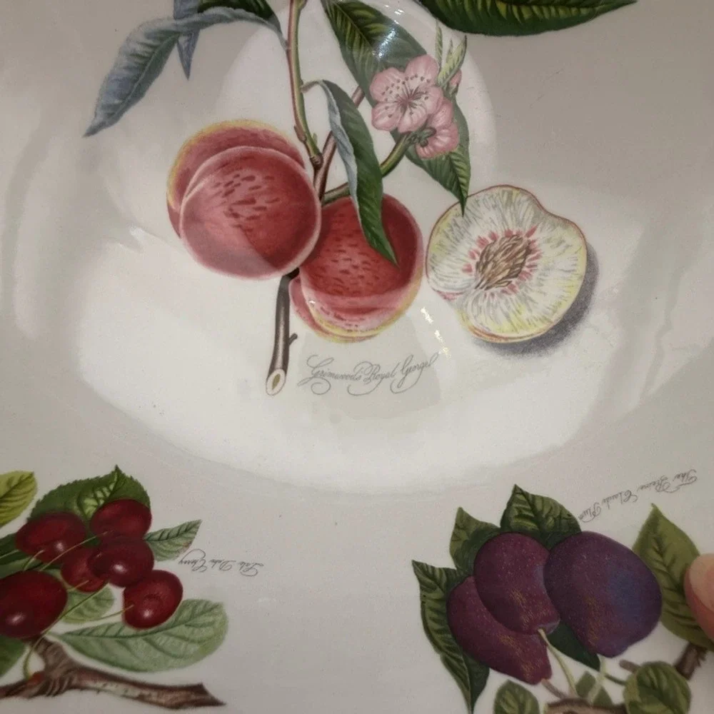 Vtg Portmeirion Pomona Fruit Salad Mixing Serving Bowl 10